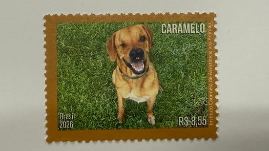 Mixirica tem dois anos e foi resgatado das ruas - Instituto Caramelo