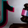 De acordo com a AGNP, plataforma coleta e usa dados de crianças e adolescentes sem justificativa legal - Divulgação - ANPD
