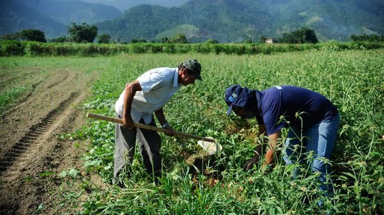 O produtor segurado também ganha prioridade legal no acesso ao crédito rural - Tomaz Silva/Agência Brasil