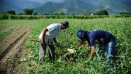 O produtor segurado também ganha prioridade legal no acesso ao crédito rural - Tomaz Silva/Agência Brasil