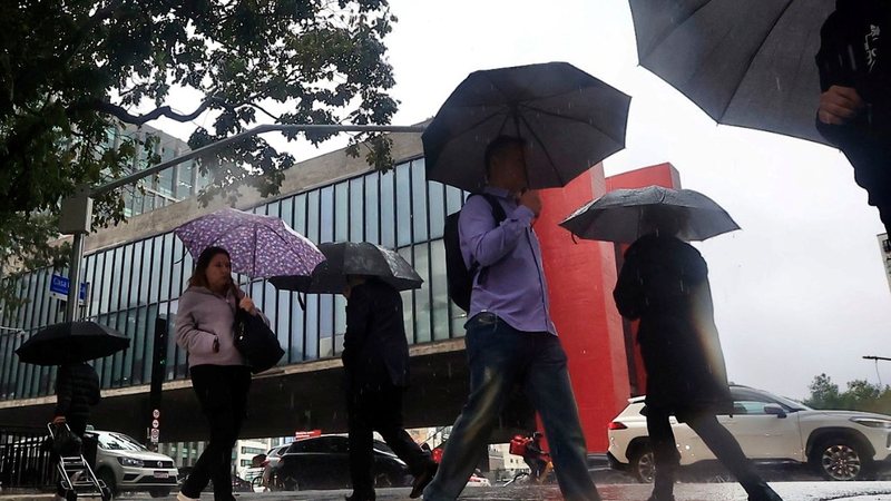 Até 9h da segunda-feira, 14, tinham sido contabilizados 253,8 milímetros de chuva acumulada - Paulo Pinto/Agencia Brasil
