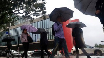 Até 9h da segunda-feira, 14, tinham sido contabilizados 253,8 milímetros de chuva acumulada - Paulo Pinto/Agencia Brasil