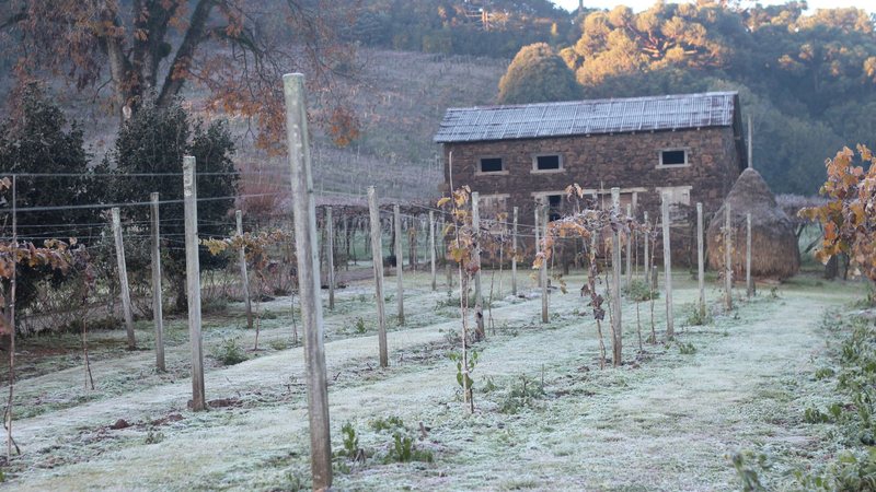 Massa de ar frio favorece geadas no Rio Grande do Sul e em Santa Catarina - Adobe Stock