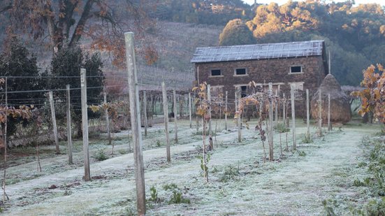 Massa de ar frio favorece geadas no Rio Grande do Sul e em Santa Catarina - Adobe Stock