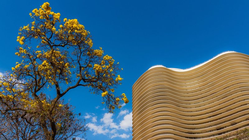 Aumento da umidade favorece chuvas no Centro-Oeste, Sudeste e Norte do País - Adobe Stock