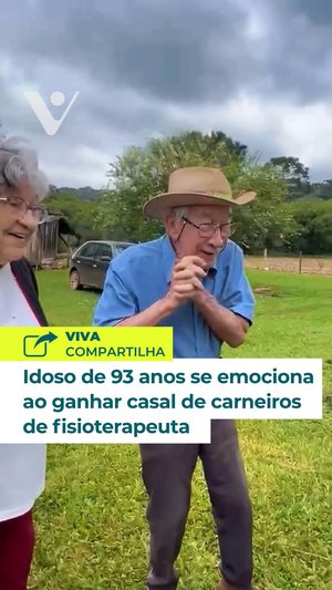 viva compartilha carneiros