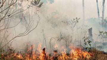 Ministério acompanha consumo e a capacidade de fornecimento de oxigênio em hospitais - Vinícius Mendonça/Ibama