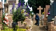 Finados é marcado por homenagens, visitas a cemitérios e celebrações religiosas em memória dos falecidos - Alf Ribeiro/Estadão Conteúdo