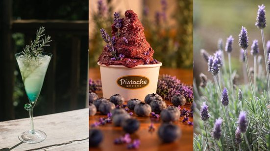 Cunha oferece uma imersão sensorial com lavanda, unindo tradição artesanal e natureza exuberante - Divulgação