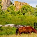 Campina Grande, na Paraíba, é famosa por sediar o maior São João do mundo - Divulgação/Skyscanner
