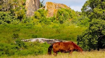 Campina Grande, na Paraíba, é famosa por sediar o maior São João do mundo - Divulgação/Skyscanner