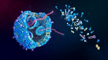 Resultados do estudo ficaram abaixo das expectativas iniciais - Adobe Stock