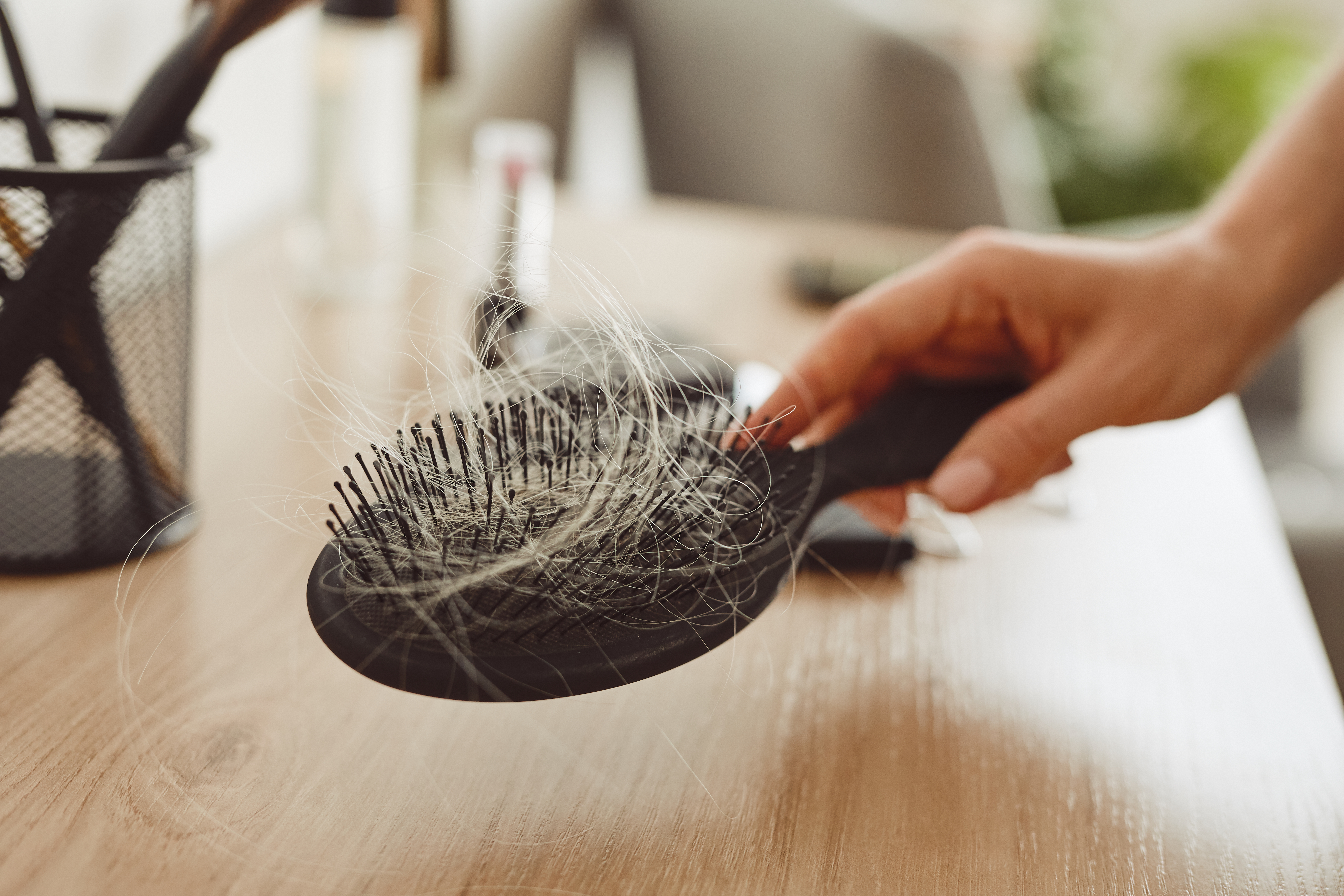escova de cabelo com fios grisalhos