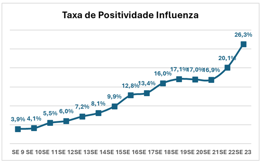 [Colocar ALT]