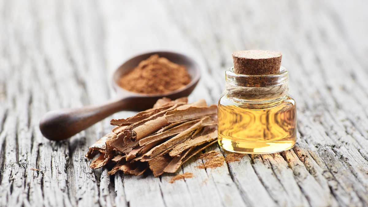 Oleo de canela