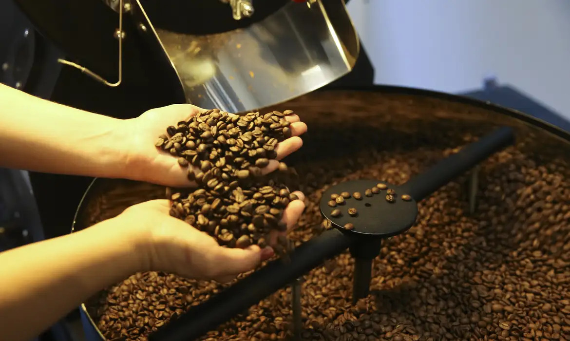 uma pessoa segurando grãos de café