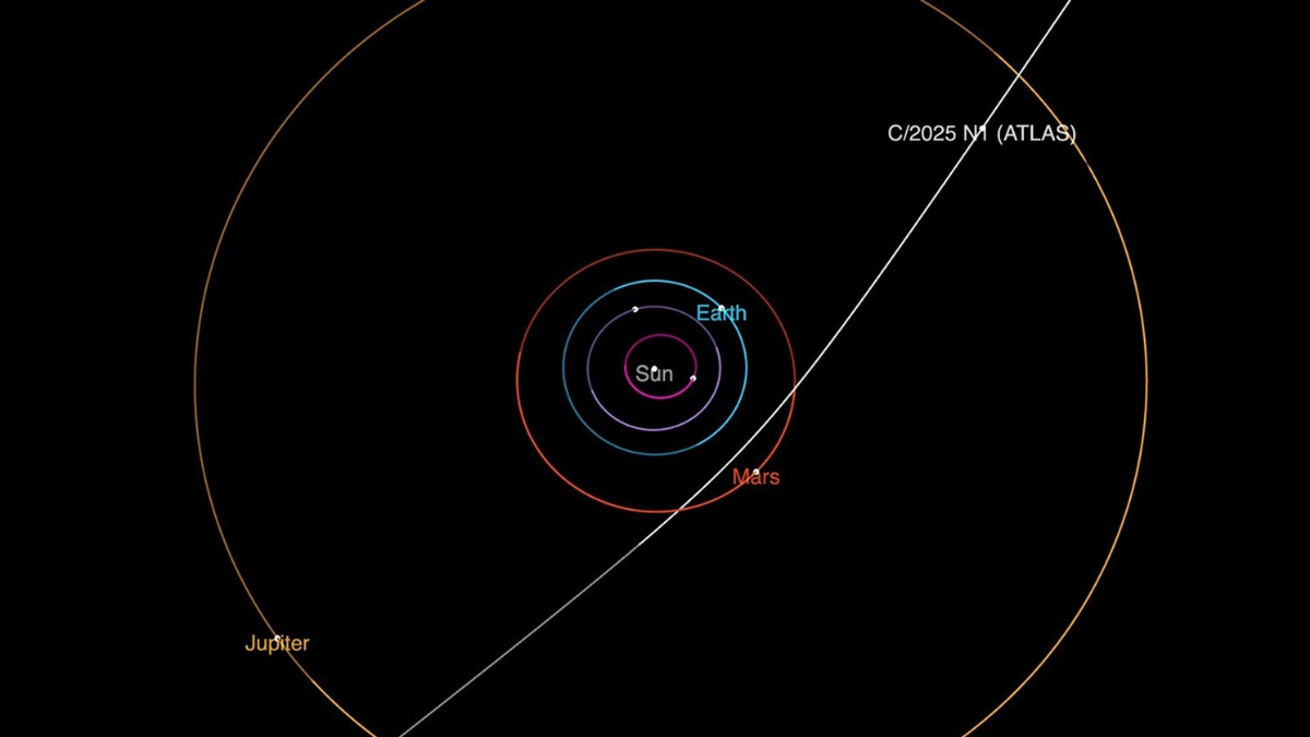 cometa interestelar