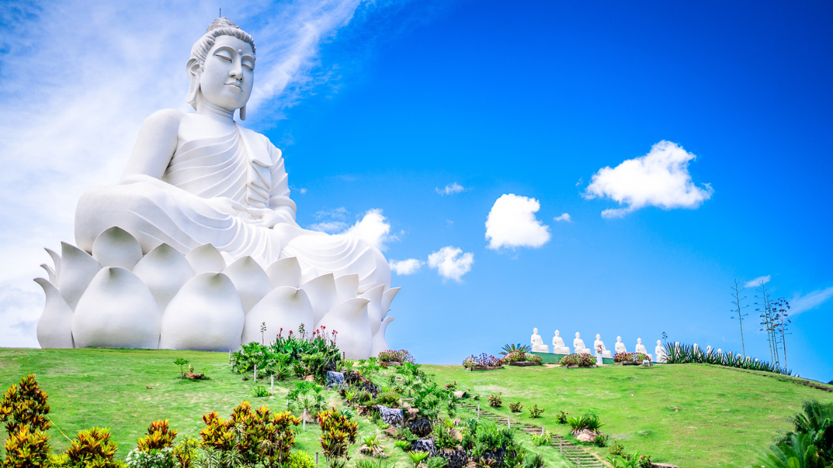 Monte Zen