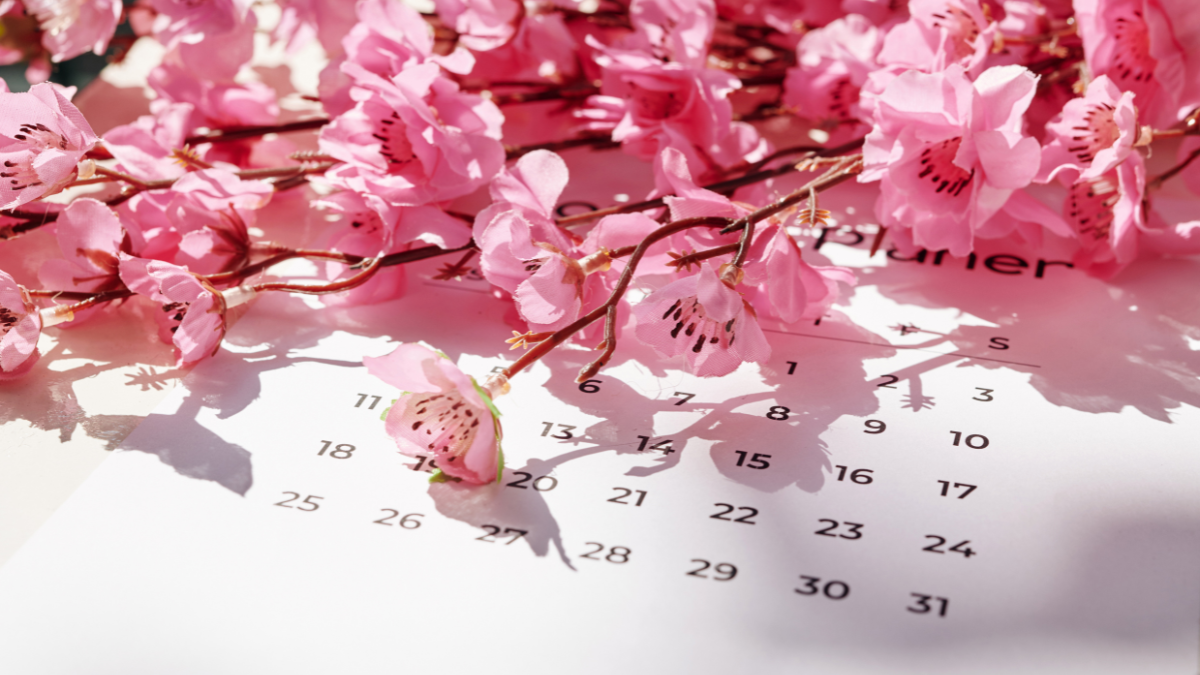 primavera data