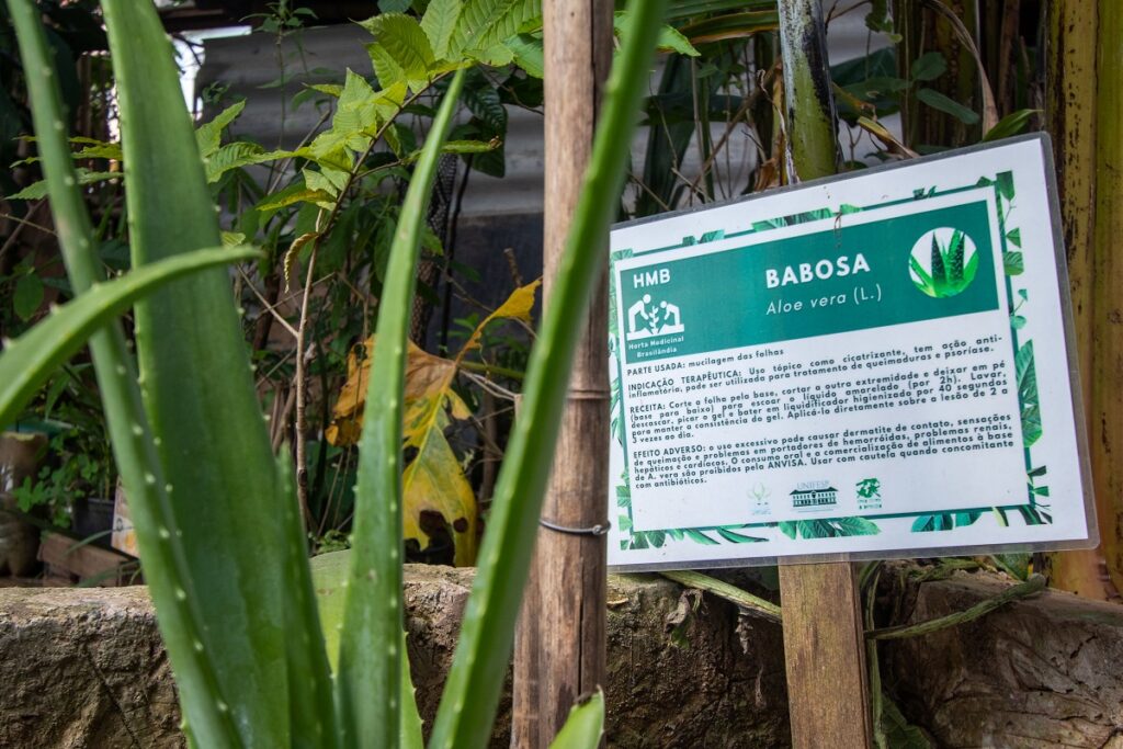 Na horta, as plantas do projeto são identificadas por placas certificadas pela Unifesp - Foto: Arquivo pessoal