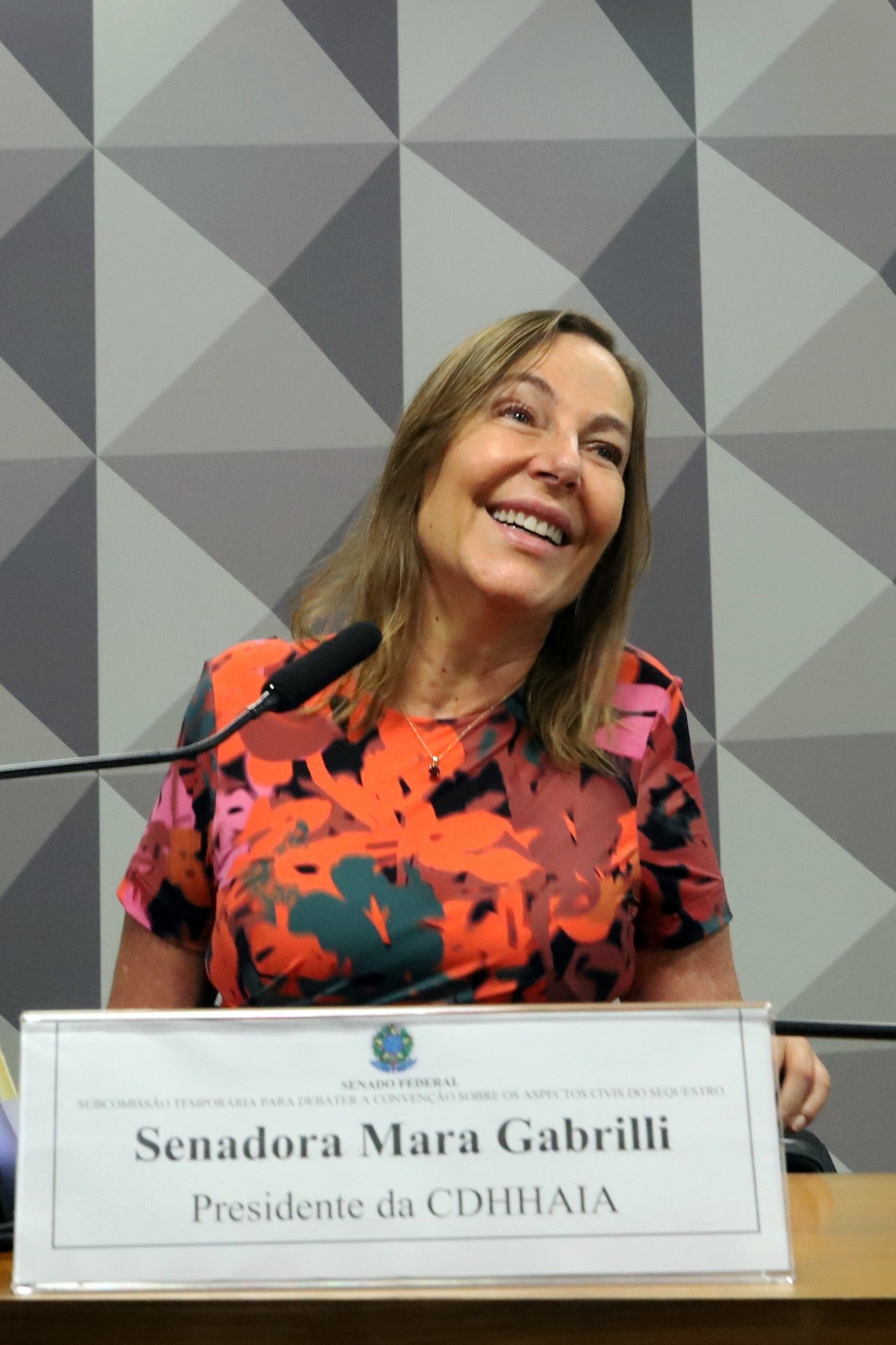 Senadora Mara Gabrilli no plenário do senado  