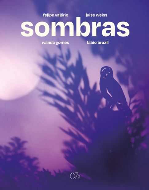 Capa do livro Sombras