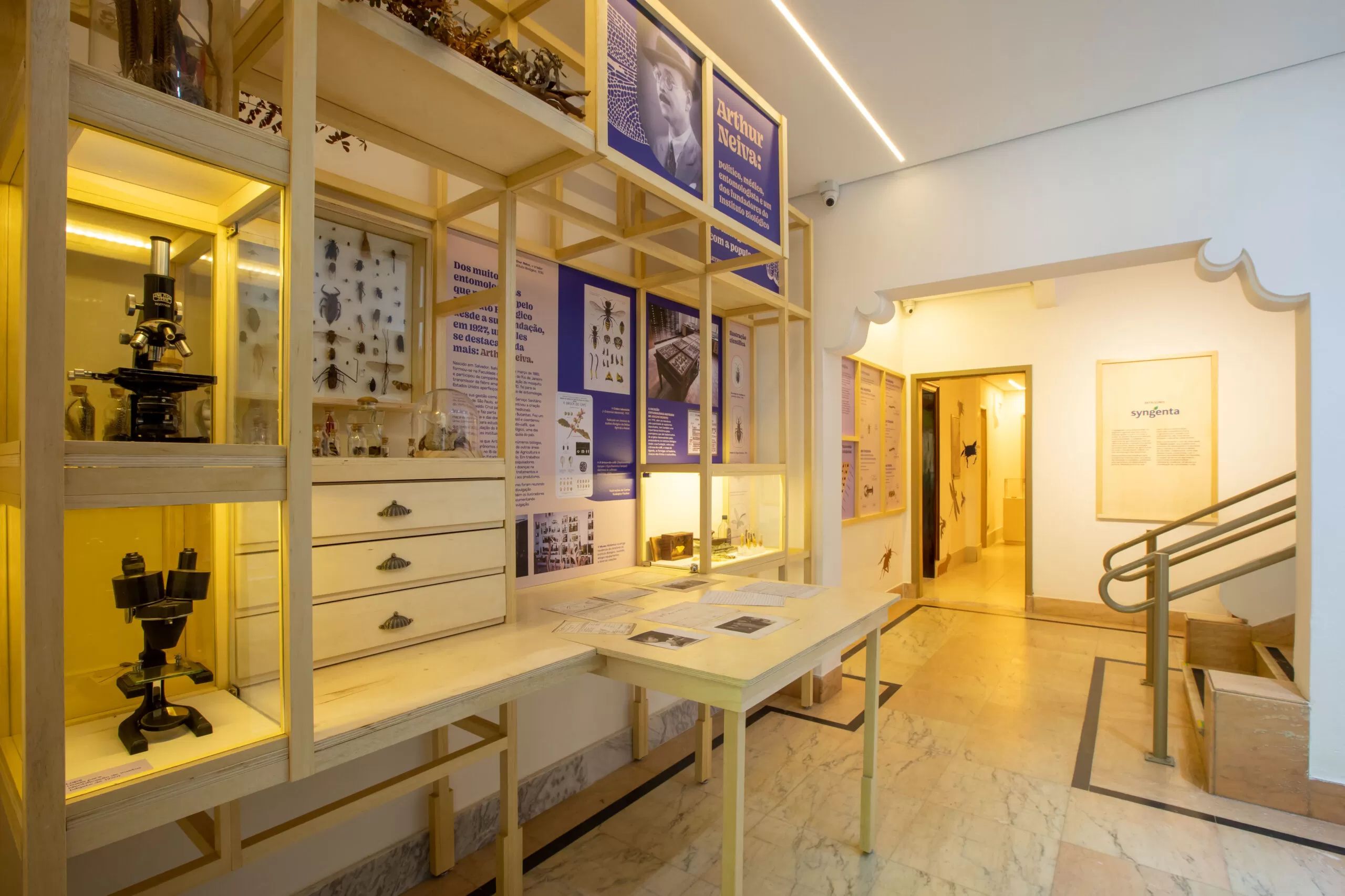 exposição Planeta Inseto