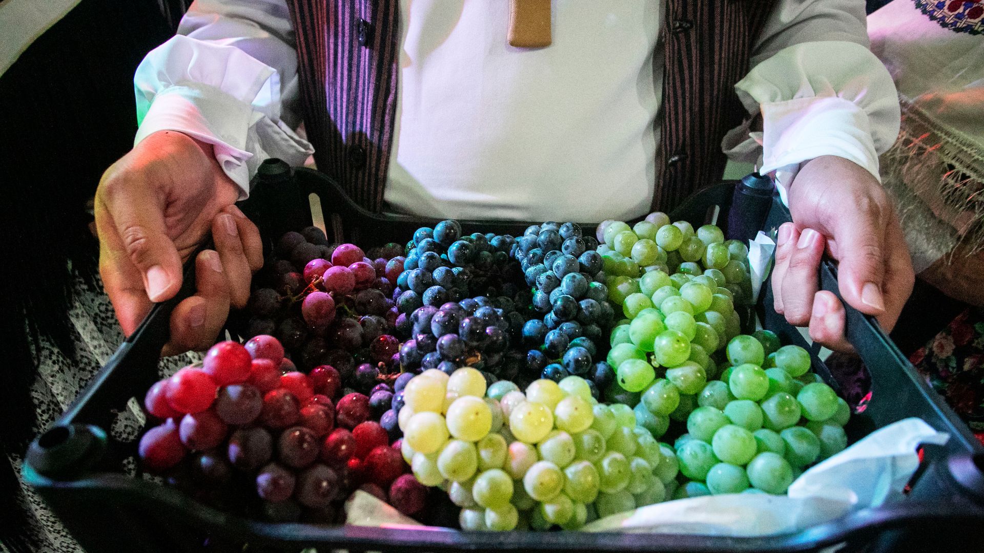 Festa da Uva integra o calendário cultural de Vinhedo - Divulgação/Festa da Uva