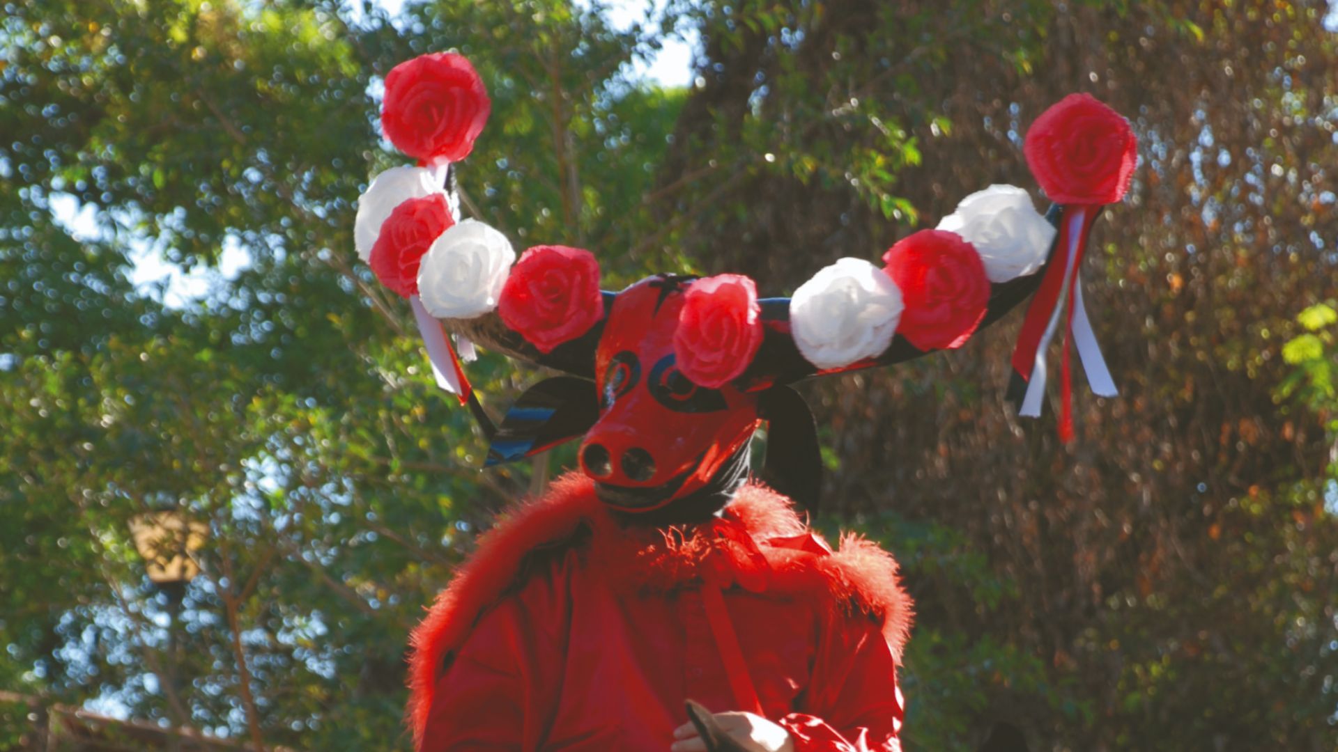 Mascarados, típicos da festa popular de Pirenópolis
