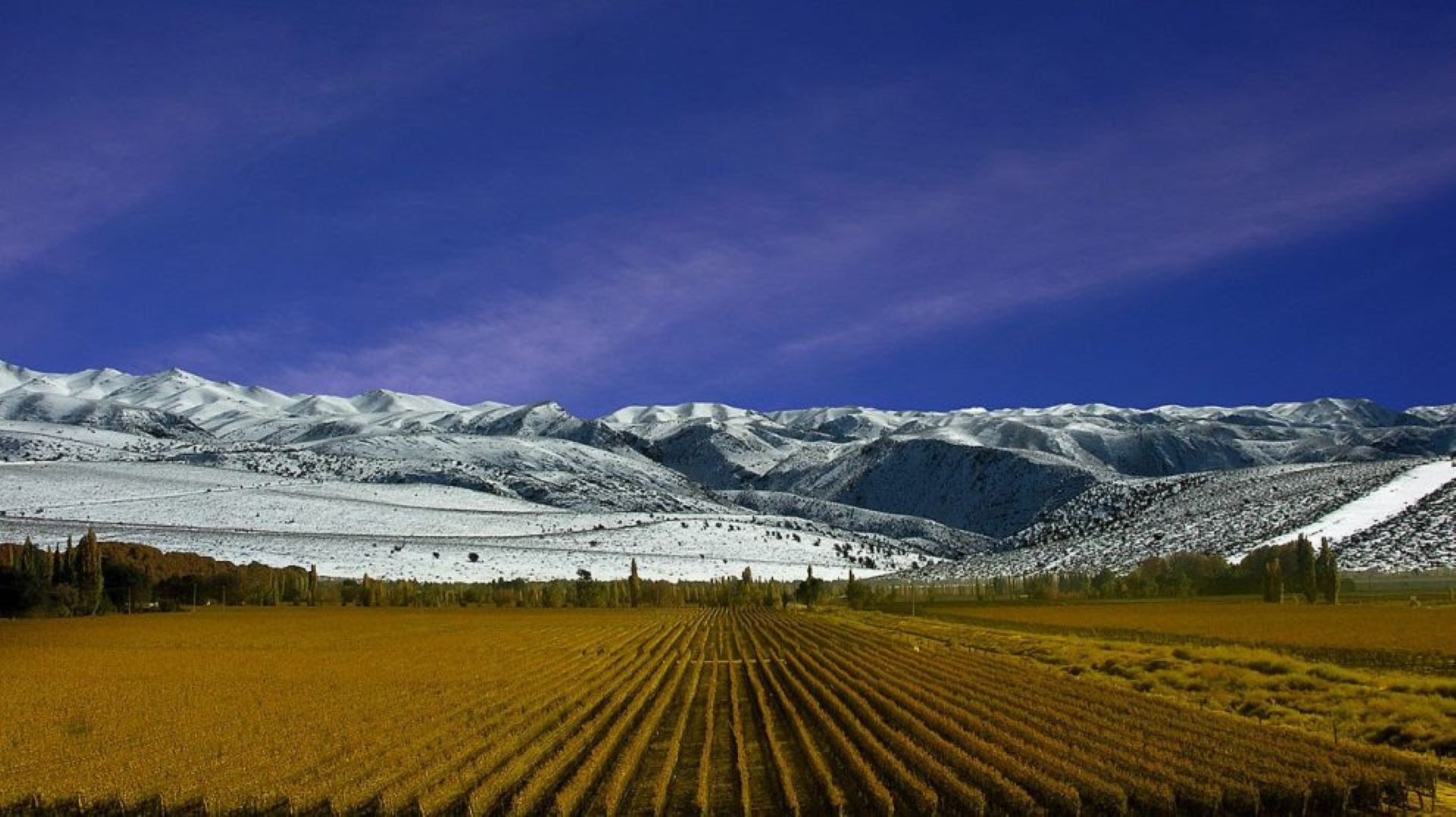 Mendoza, na Argentina