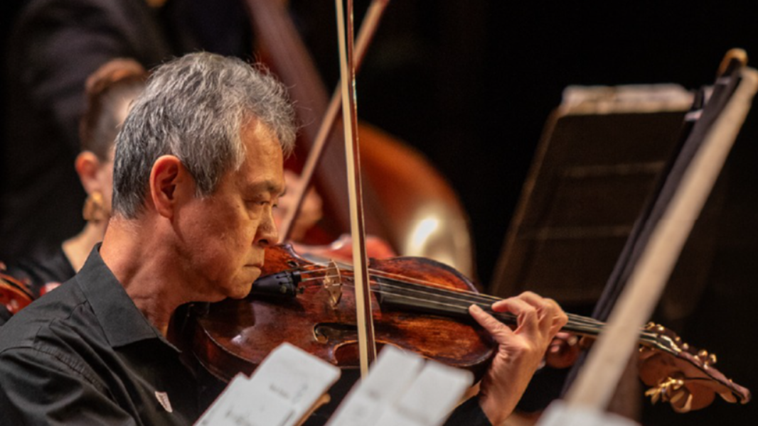 Orquestra Bachiana Sênior SESI-SP, divulgação