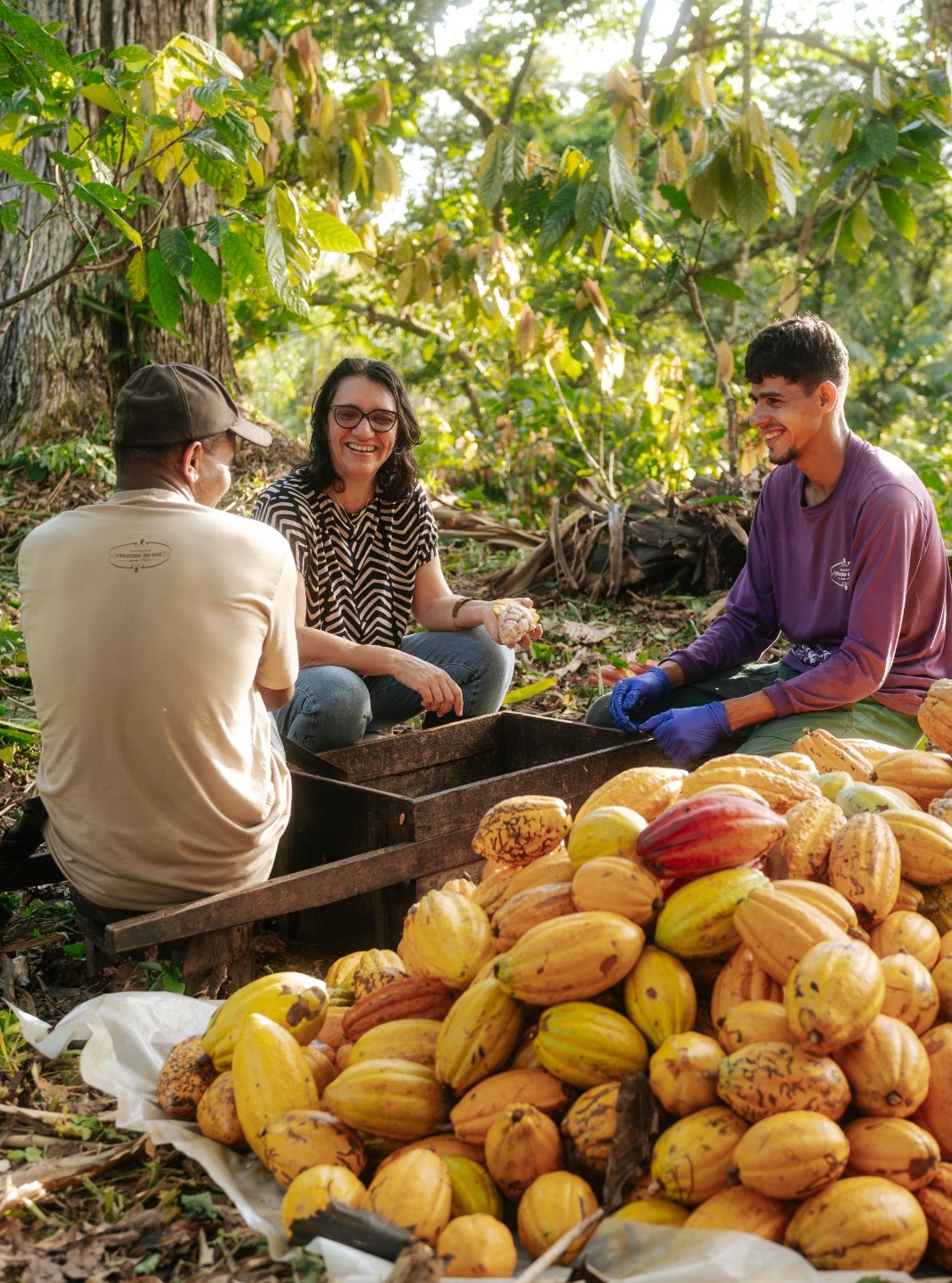 Ana Paranhos e produtores na Fazenda Cruzeiro do Sul, em Uruçuca (BA)