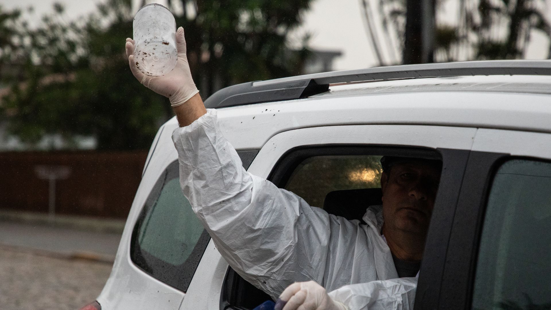 Soltura de mosquitos com a bactéria Wolbachia é uma estratégia inovadora e natural de controle de doenças