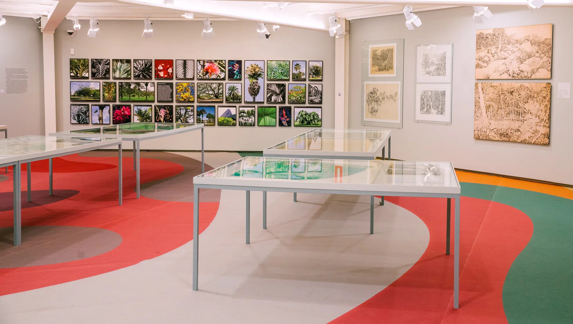 Exposição apresenta a visão de Roberto Burle Marx (1909 - 1994)
