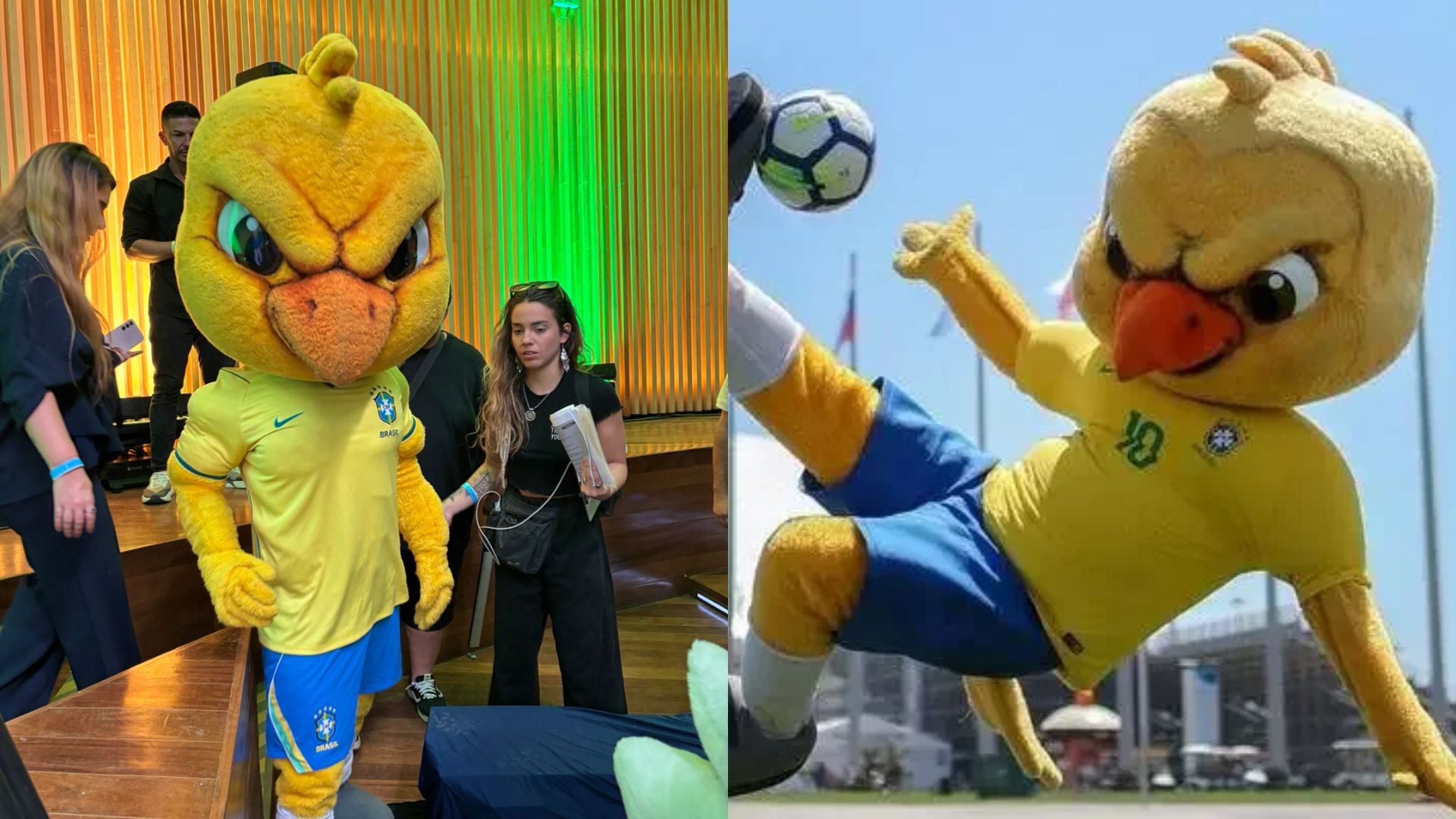 Canarinho, mascote da seleção brasileira
