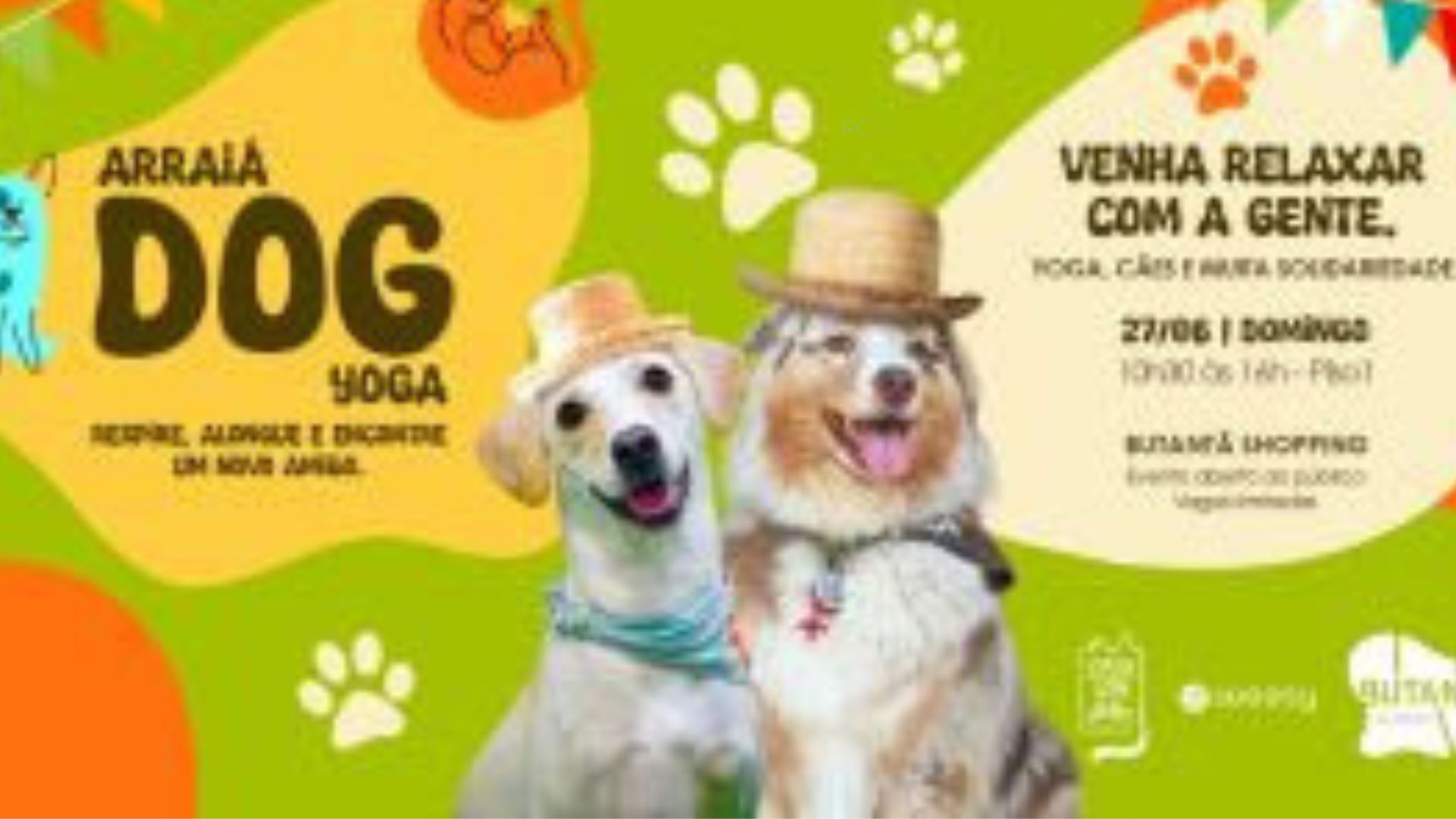 Cães festidos com roupas juninas