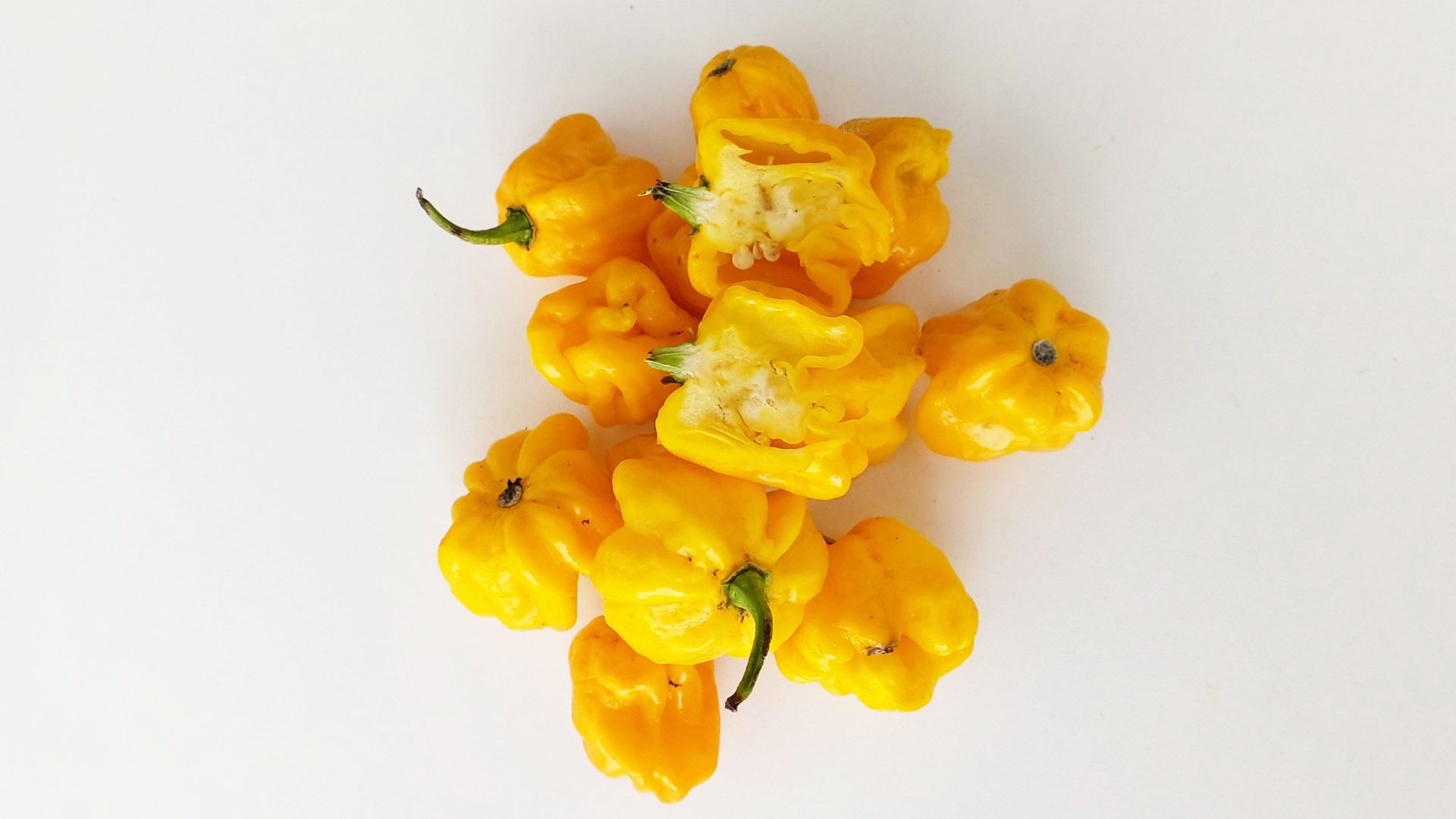 Pimenta-de-cheiro