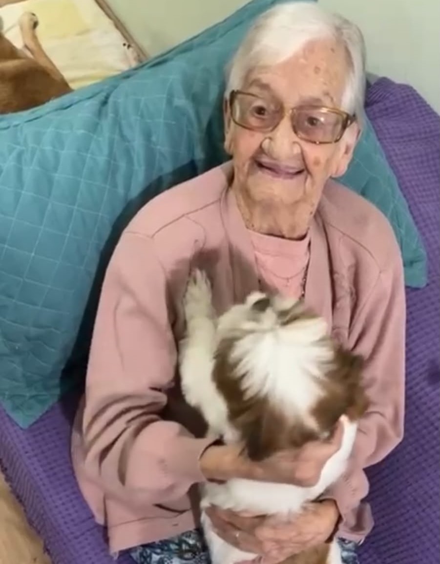 Manuela Moreira, de 95 anos, acompanha de perto o comportamento dos animais