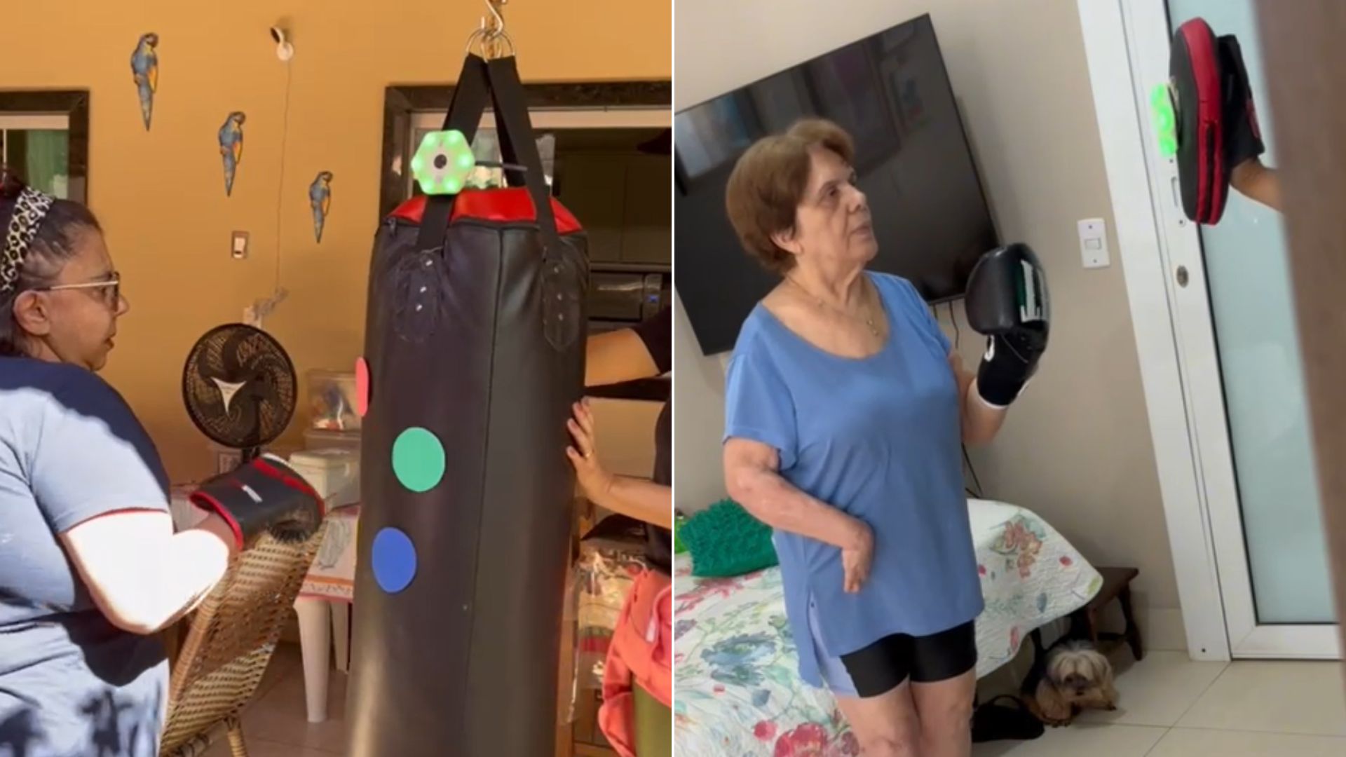 Pessoas 60+ atendidas por Maíra aderem à modalidade do boxe adaptado