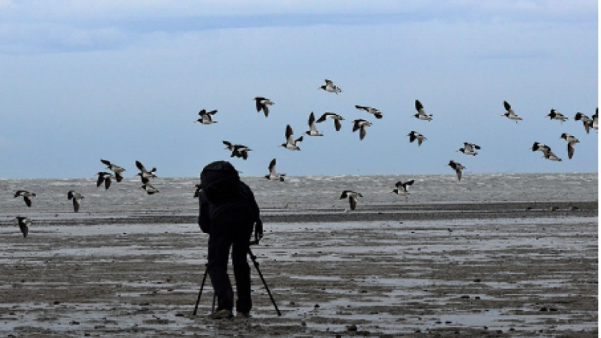 Bahía Lomas, Patagônia, no Chile