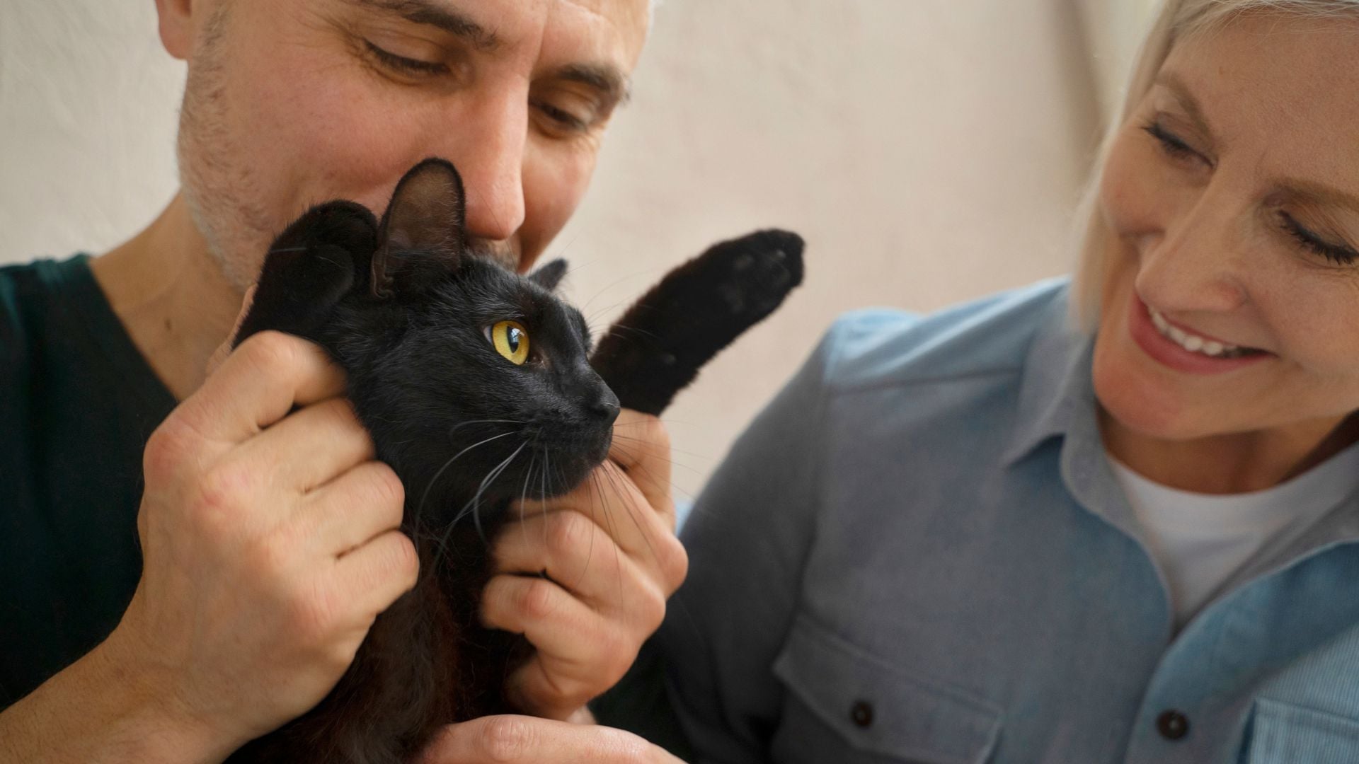 Casal 50+ segurando um gato preto