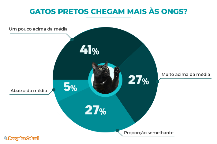 Gráfico da pesquisa Cobasi