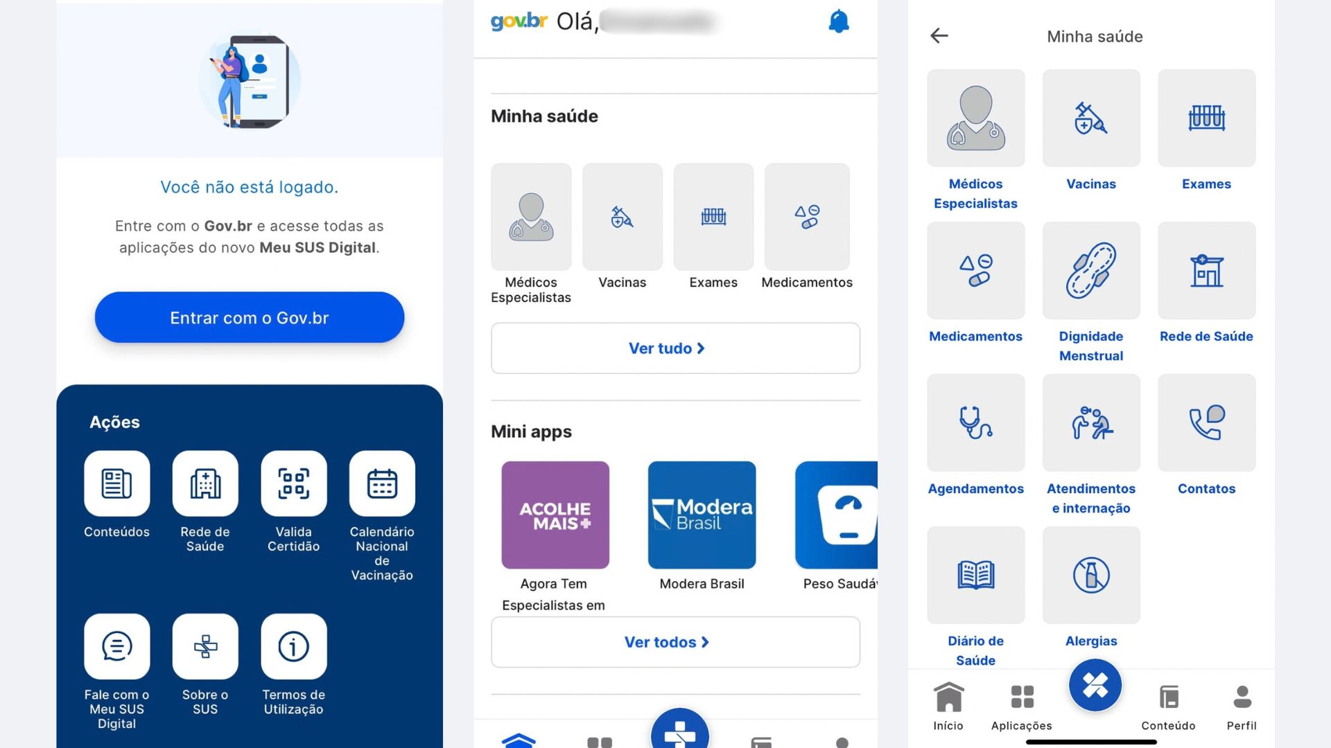 captura de tela da interface vo app meu sus digital
